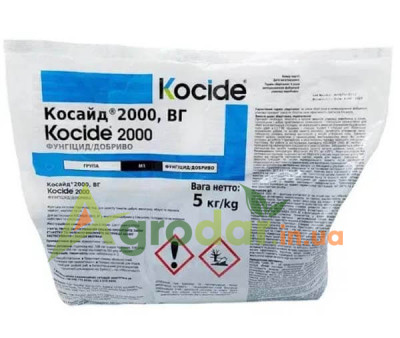 Косайд 2000
