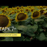 Старк 7+ Сумо