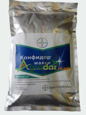Конфидор Макси