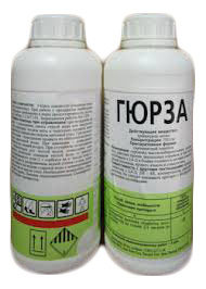 Гюрза