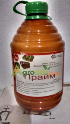 Прайм (Прима)