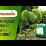 Стимовіт