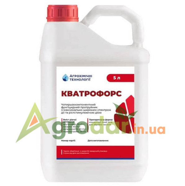 Кватрофорс