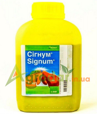 СИГНУМ