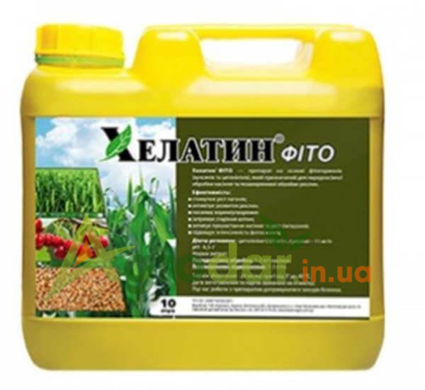 Хелатин Фіто